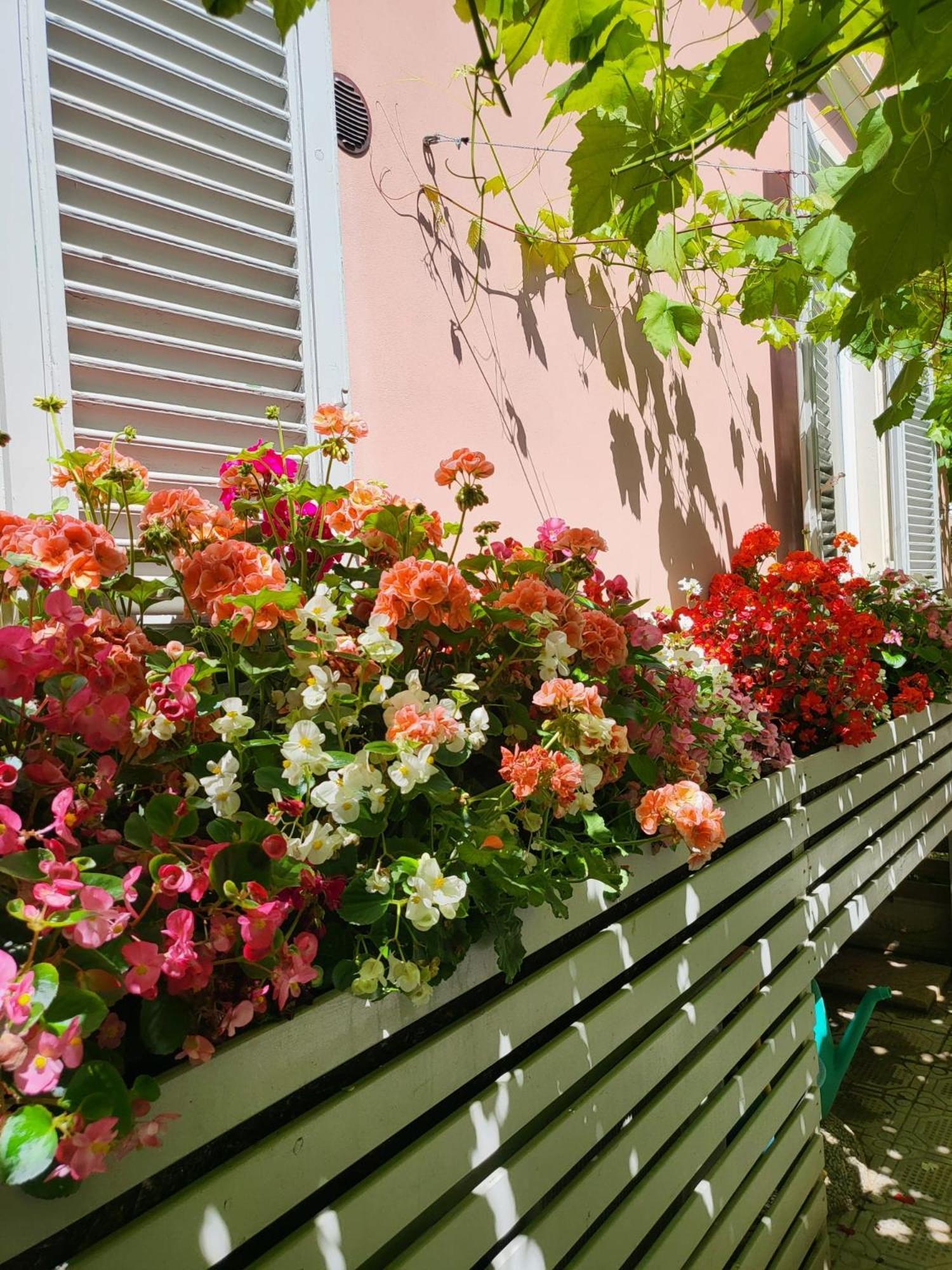 Il Buen Retiro Hotel Lucca Exterior photo