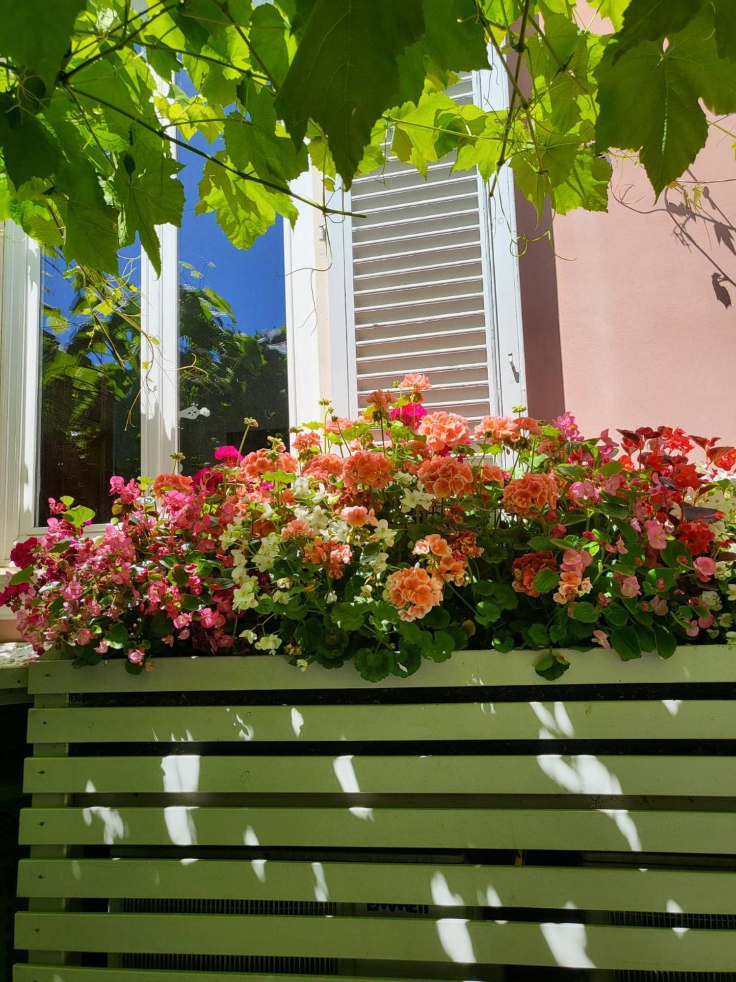 Il Buen Retiro Hotel Lucca Exterior photo