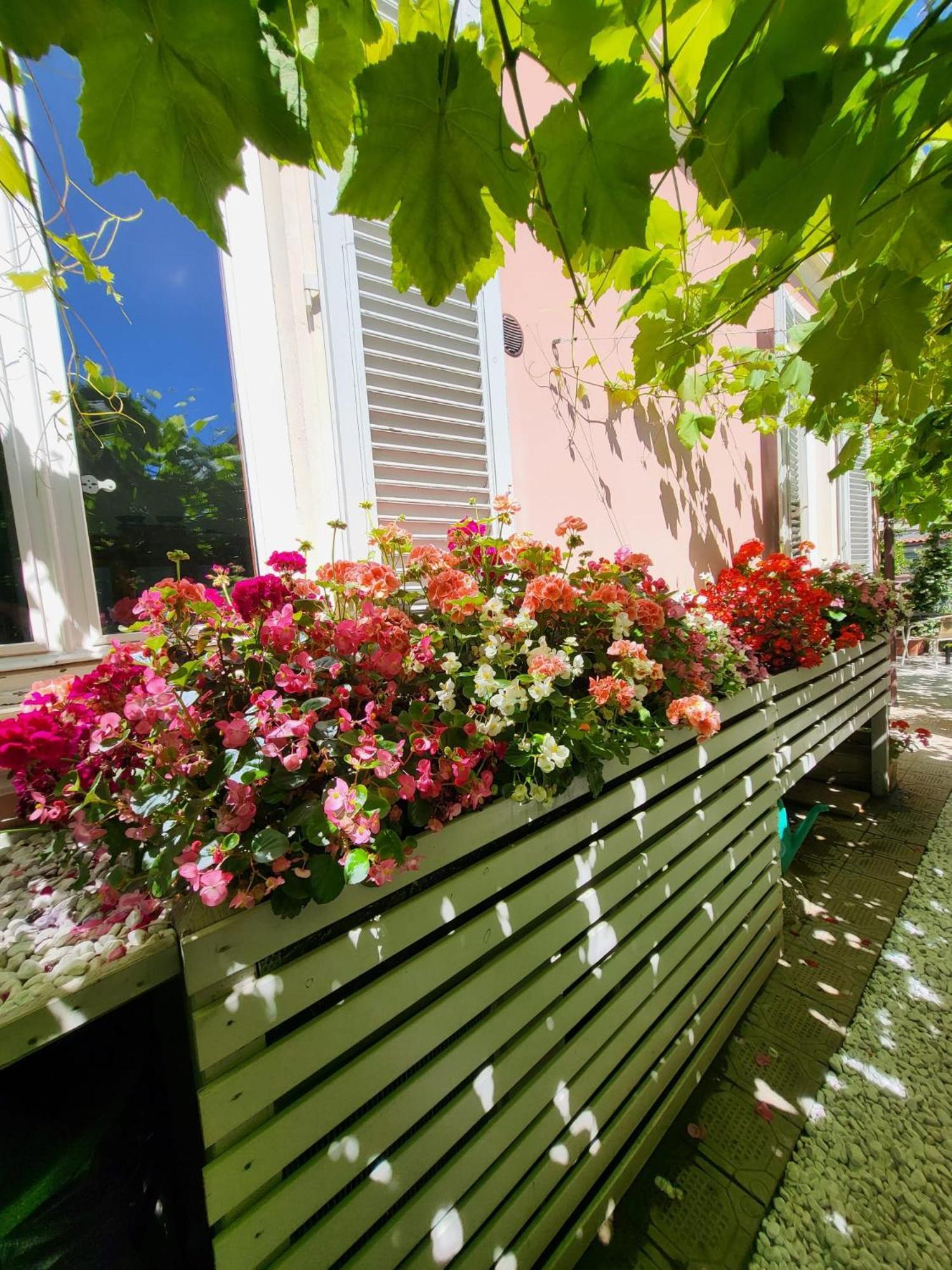 Il Buen Retiro Hotel Lucca Exterior photo