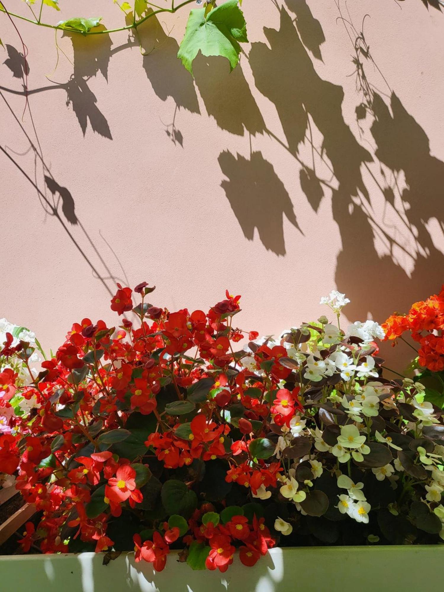 Il Buen Retiro Hotel Lucca Exterior photo